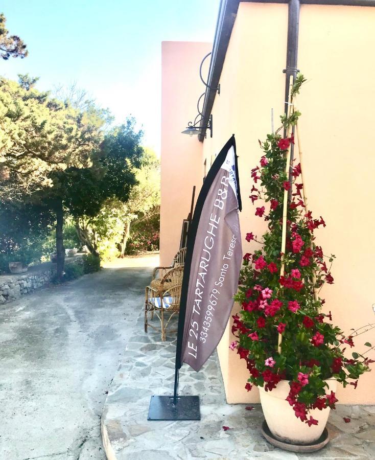 Le 25 Tartarughe Bed and Breakfast Santa Teresa Gallura Eksteriør billede