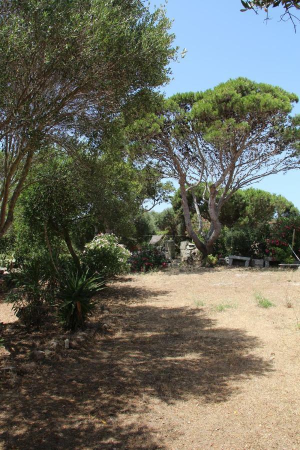 Le 25 Tartarughe Bed and Breakfast Santa Teresa Gallura Eksteriør billede