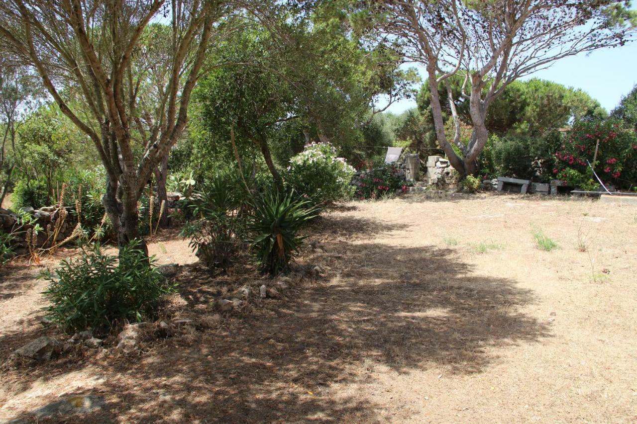 Le 25 Tartarughe Bed and Breakfast Santa Teresa Gallura Eksteriør billede