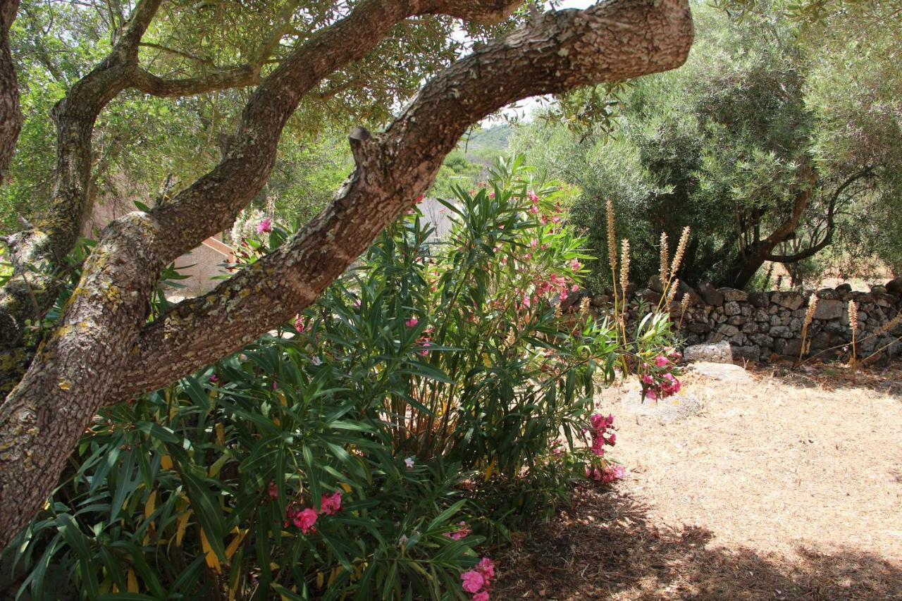 Le 25 Tartarughe Bed and Breakfast Santa Teresa Gallura Eksteriør billede