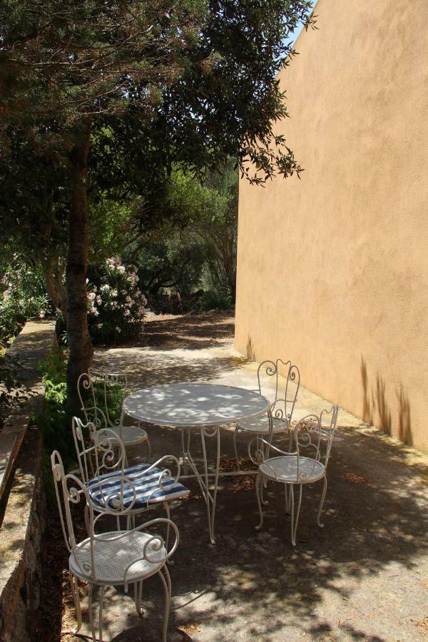 Le 25 Tartarughe Bed and Breakfast Santa Teresa Gallura Eksteriør billede
