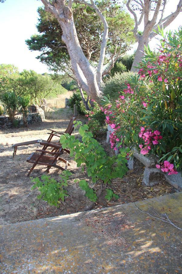 Le 25 Tartarughe Bed and Breakfast Santa Teresa Gallura Eksteriør billede