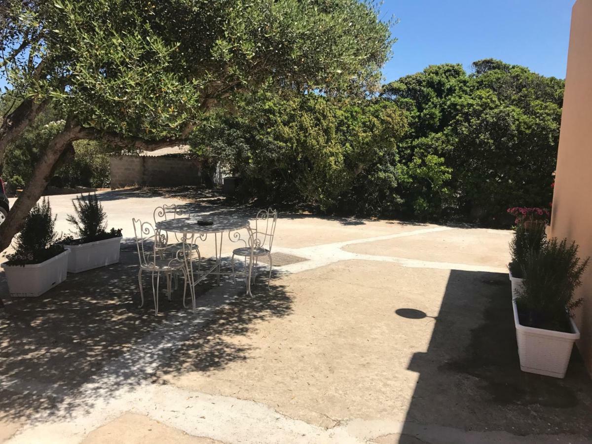 Le 25 Tartarughe Bed and Breakfast Santa Teresa Gallura Eksteriør billede